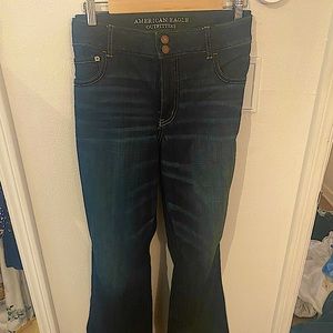 American Eagle Plus size artist style jeans